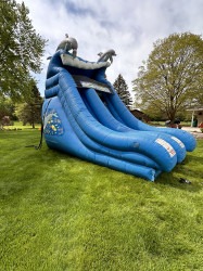 1820Dolphin20Slide 1715969247 18' Dolphin Water Slide