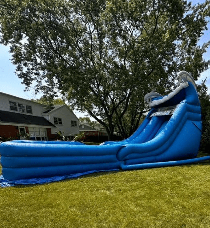 18' Dolphin Water Slide