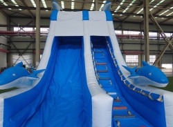 2A8D2D07 05Df 4Bf0 Aa7B 9226221770F9 1748367703 19' Dolphin Slide (New 2025) Dry Only Pricing