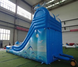 40F2C99C 15F2 455A 85C4 4233Dc2E7C25 1748367703 19' Dolphin Slide (New 2025) Dry Only Pricing