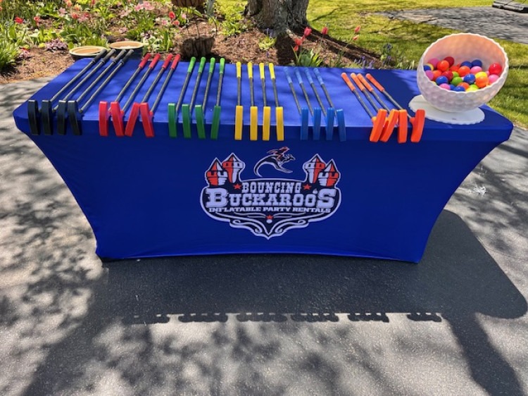 9 Hole Mini Golf