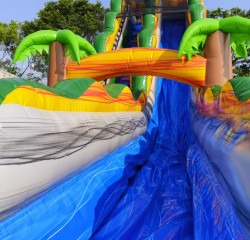 Photo 2025 03 18 20 12 41 1748367836 22' Tropical Green Water Slide - Dry Pricing