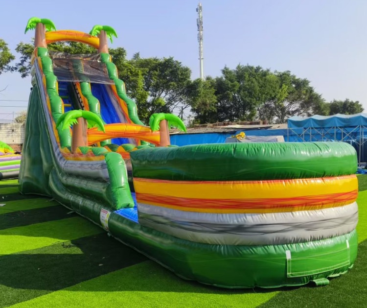 Giant Slides - Dry Use Only