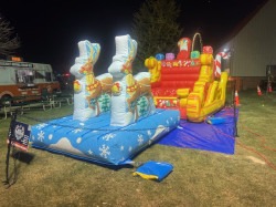 Img 1883 1762202999 Santa Selfie Sleigh With Reindeer