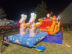 Santa Selfie Sleigh With Reindeer